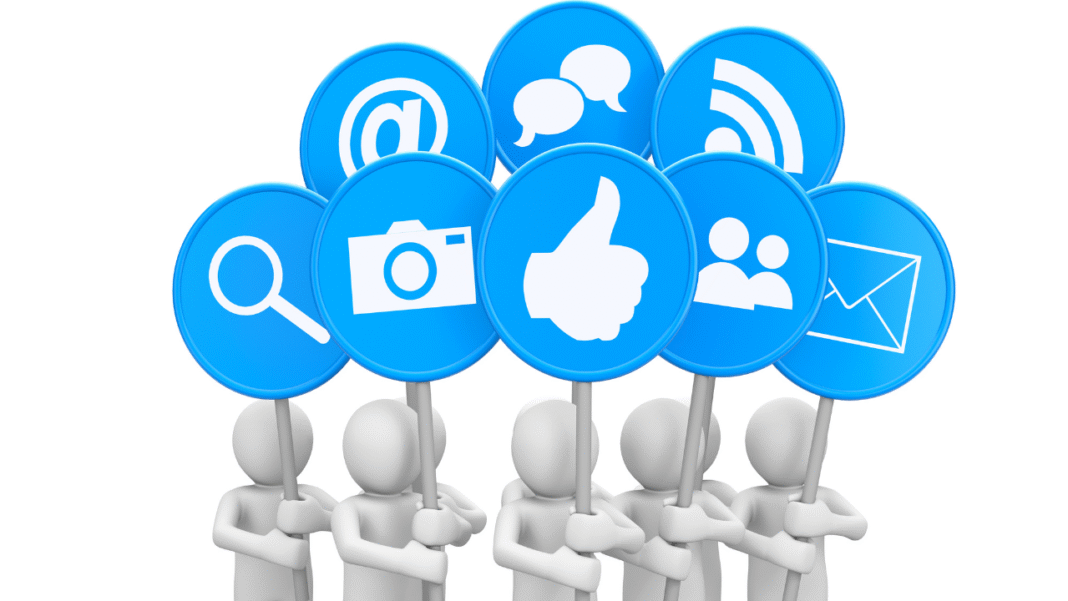 how to grow social media followers for your business